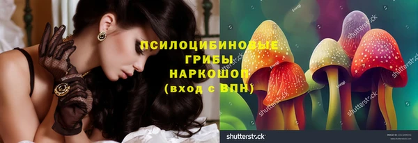 прущая мука Алзамай