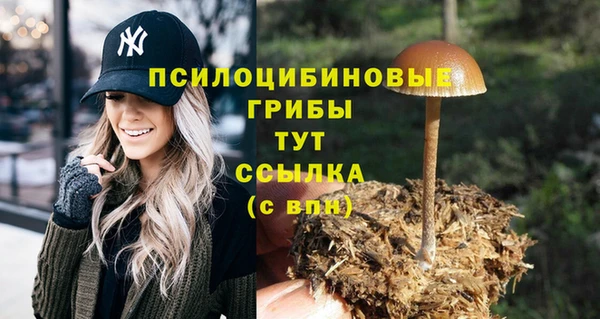 прущая мука Алзамай