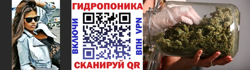 Канабис MAZAR  Миньяр 